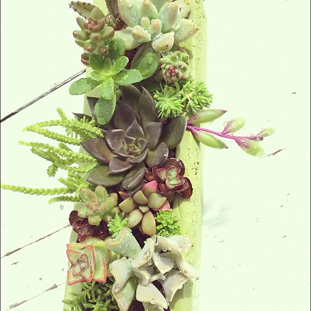 abcさんの実例写真