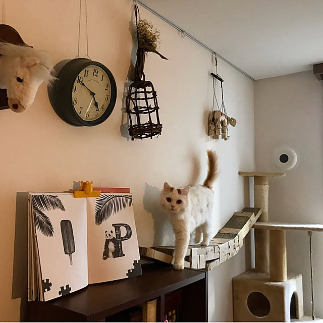 Vitnaさんの実例写真