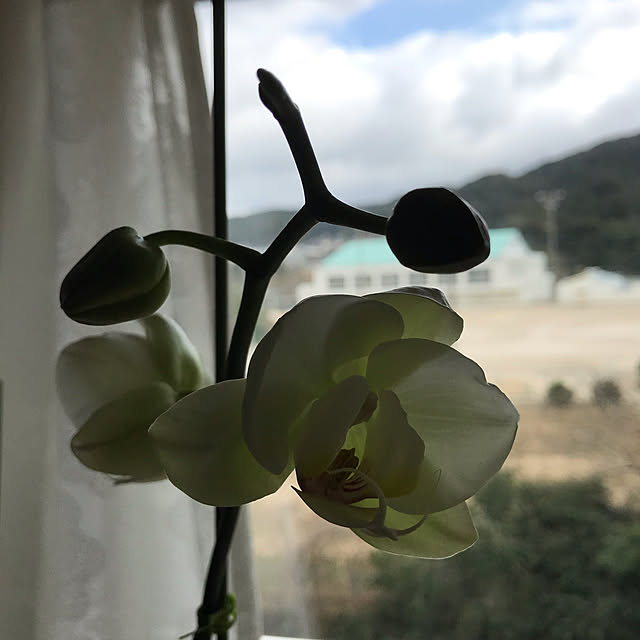 daikichiさんの実例写真