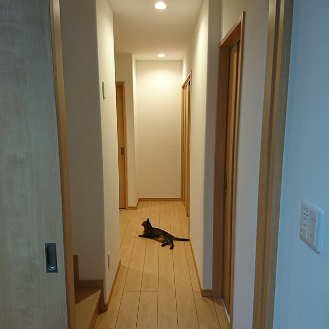 aisuさんの実例写真