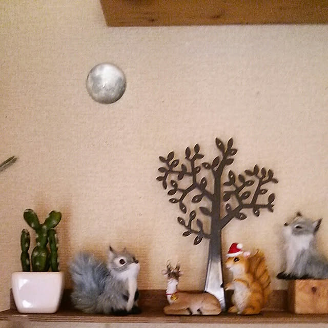 Tomopさんの実例写真