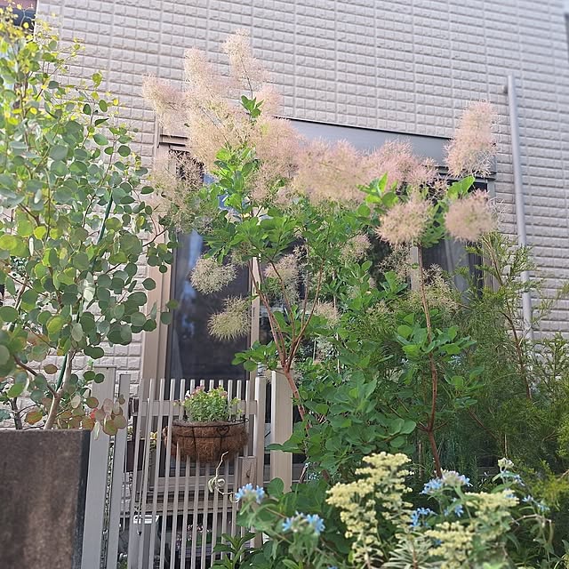 souさんの実例写真