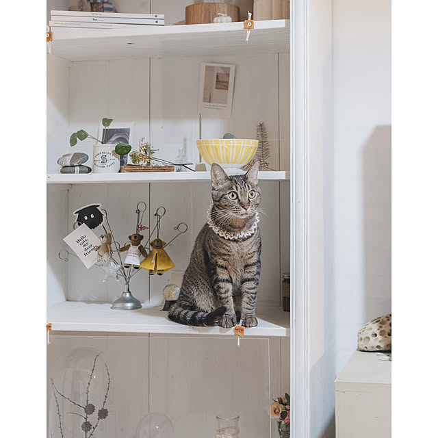 oliveさんの部屋
