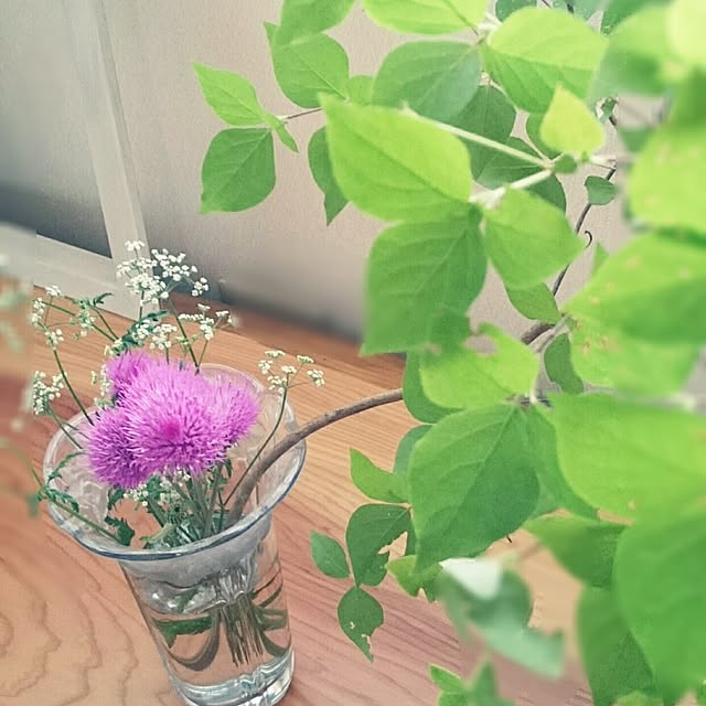 miho.okuさんの実例写真