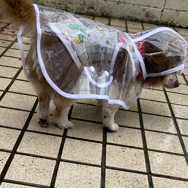 chIoeさんの部屋