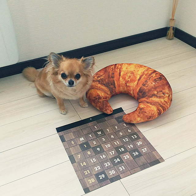 kojikojiさんの実例写真