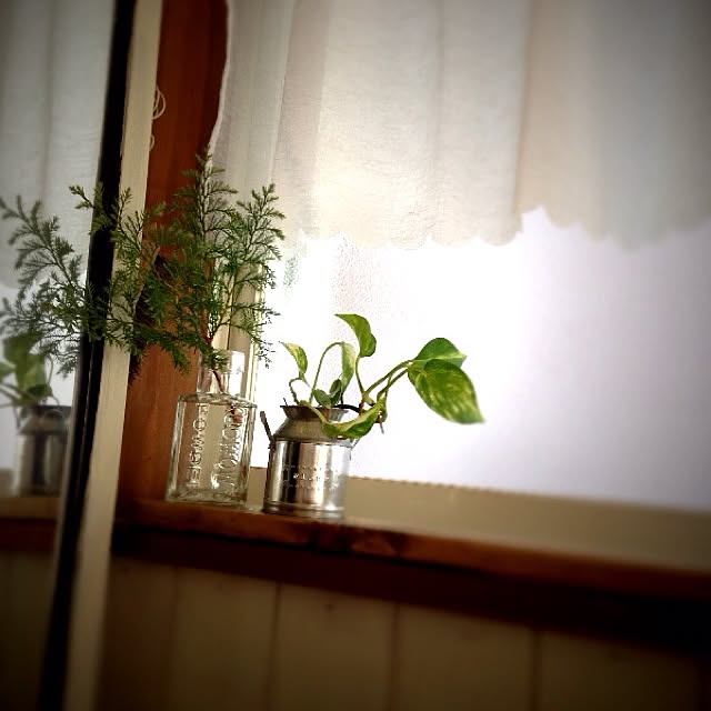 rookuさんの実例写真