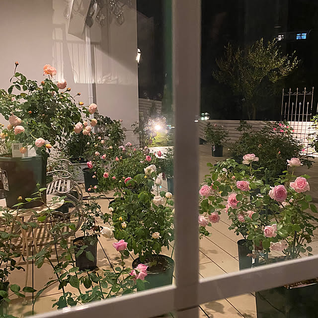 choさんの部屋