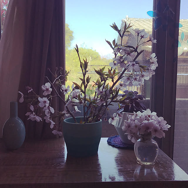 kou-kitiさんの実例写真