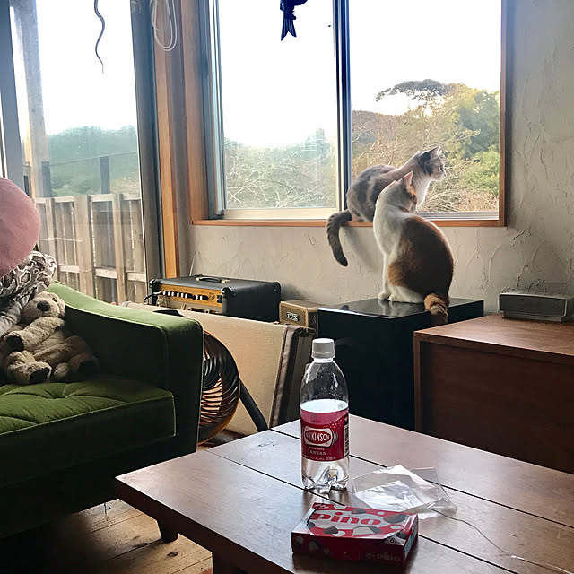 sakurasakuさんの実例写真