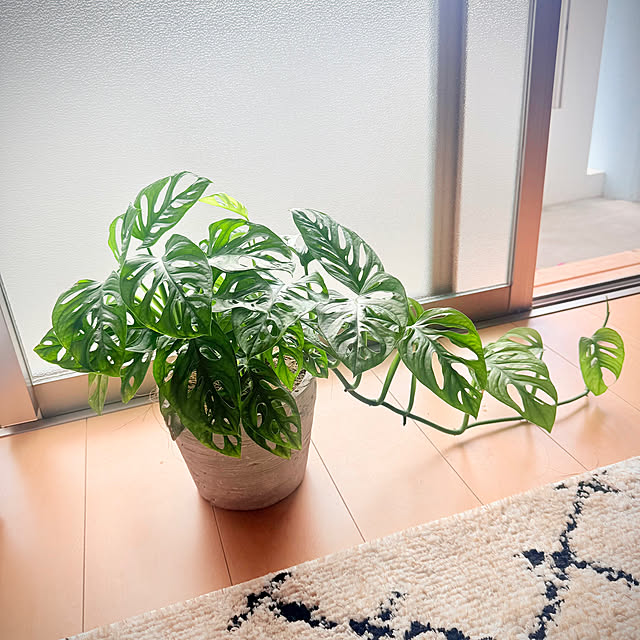 HIEさんの実例写真