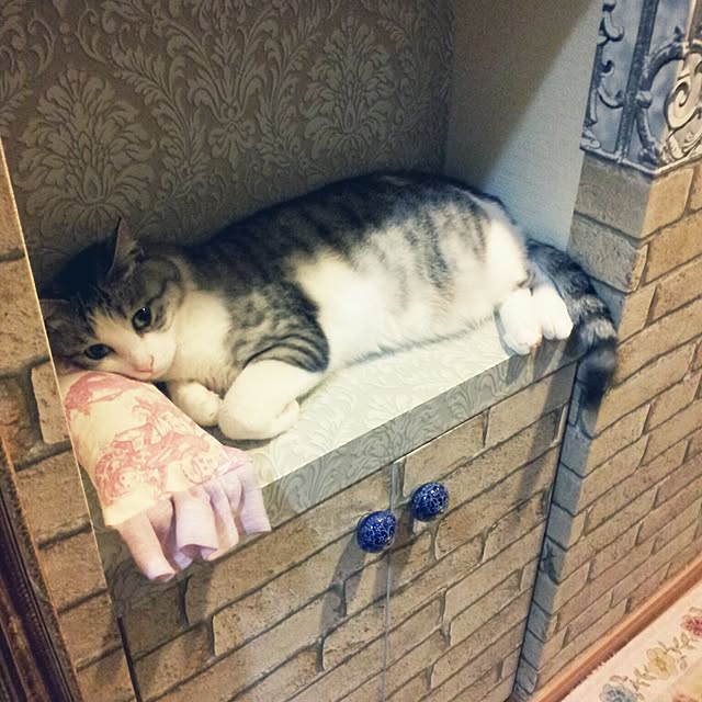emmyyさんの実例写真