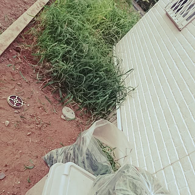 mocoさんの実例写真