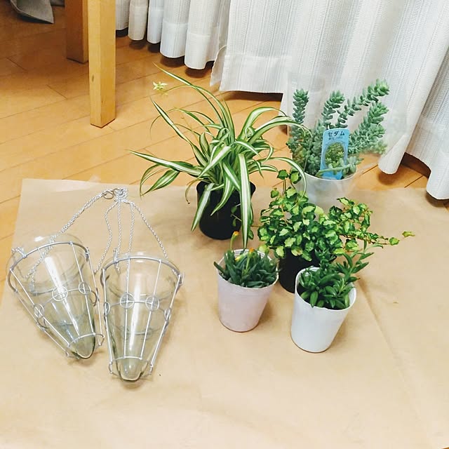 yu-kariさんの実例写真