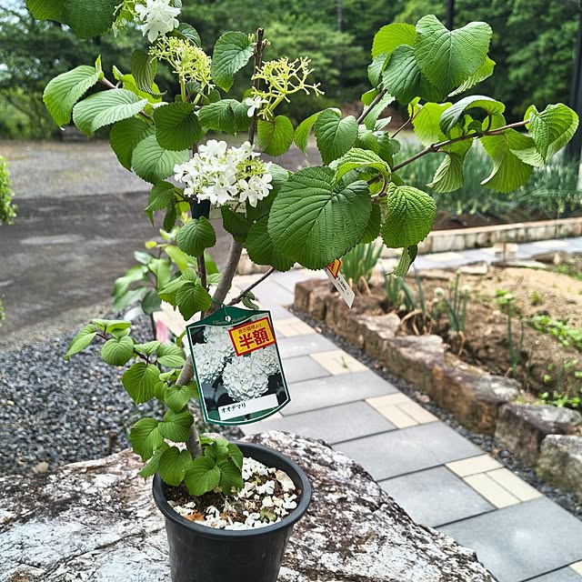 Rubiconさんの部屋