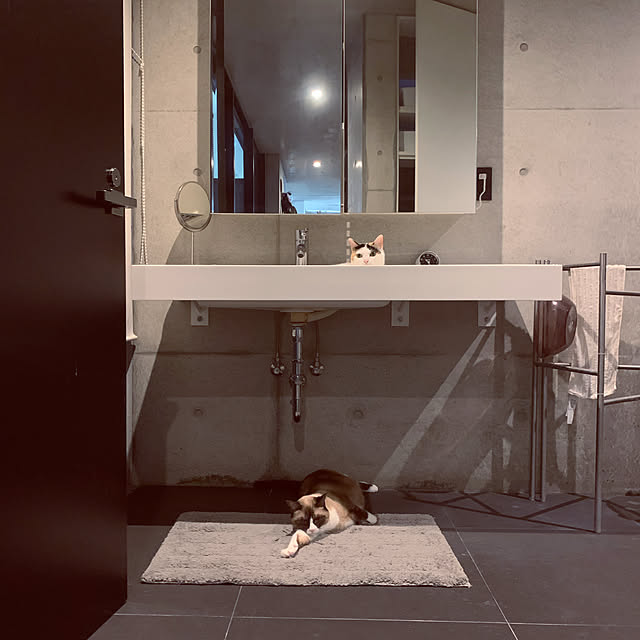 mashさんの実例写真