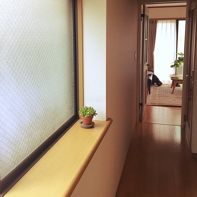 n_ikumiiiさんの実例写真