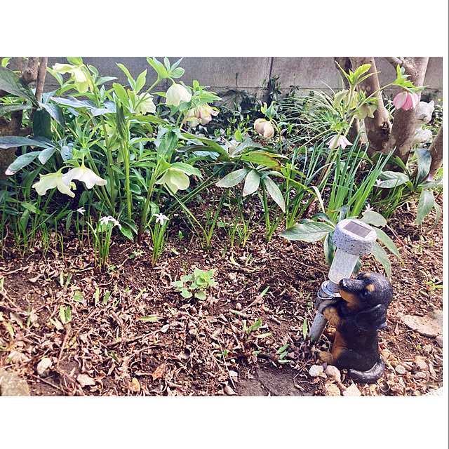 CoCo0617さんの部屋
