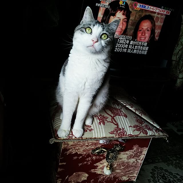 emmyyさんの実例写真