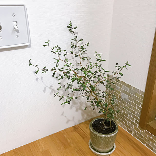 yukoさんの実例写真