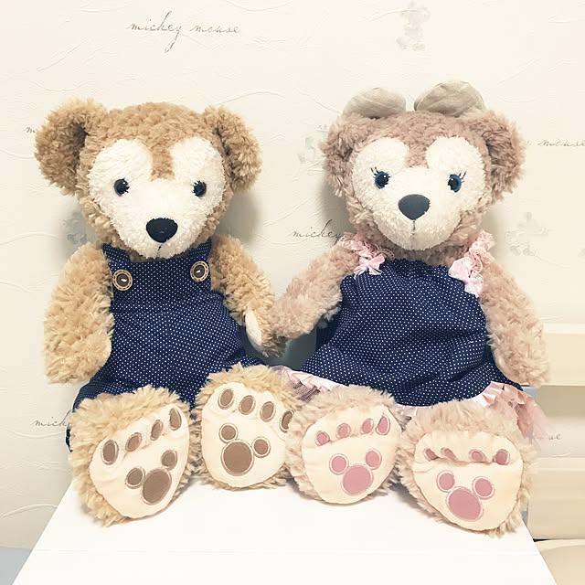 shiorinさんの実例写真