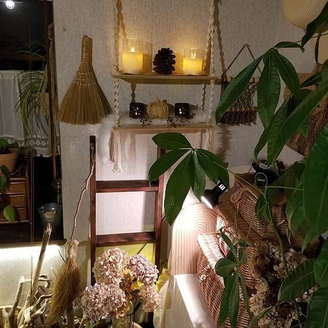 midoriさんの部屋