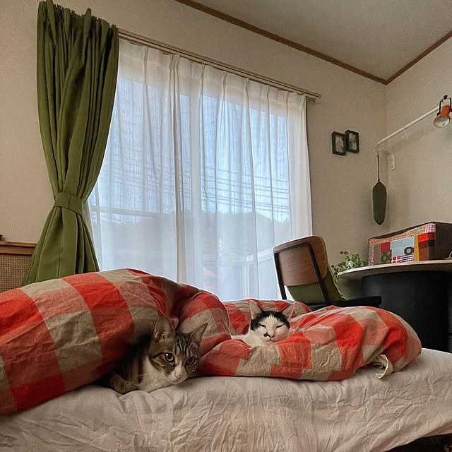 nobikoさんの部屋