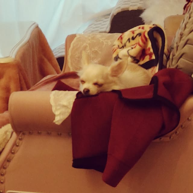 Bienvenueさんの部屋