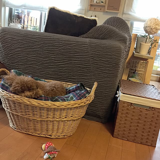 ISM.mumさんの実例写真