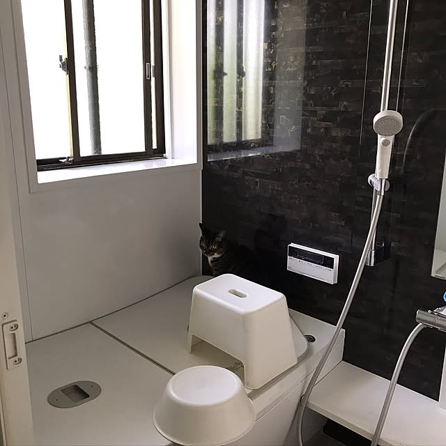 sakuraさんの実例写真