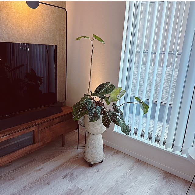 cocoさんの部屋