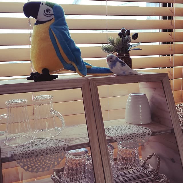 cocoamilkさんの実例写真