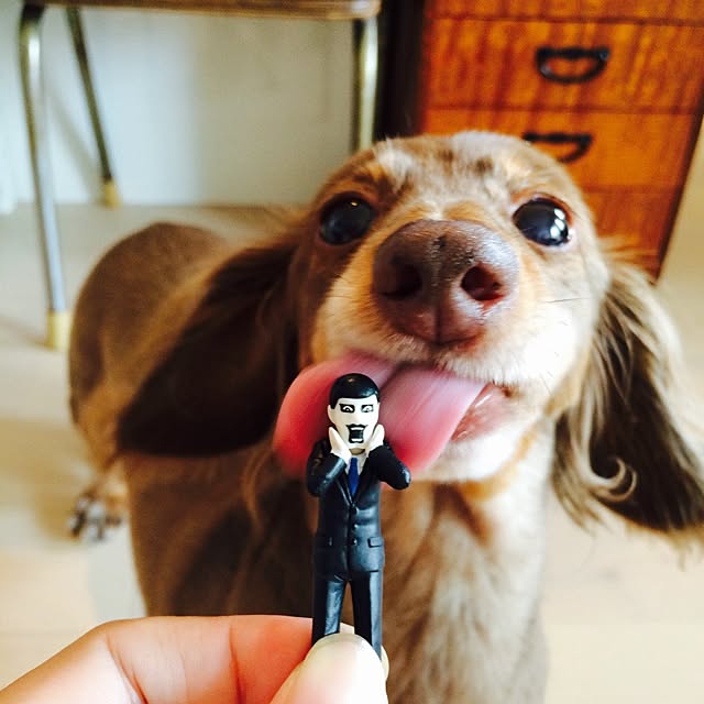 実例写真