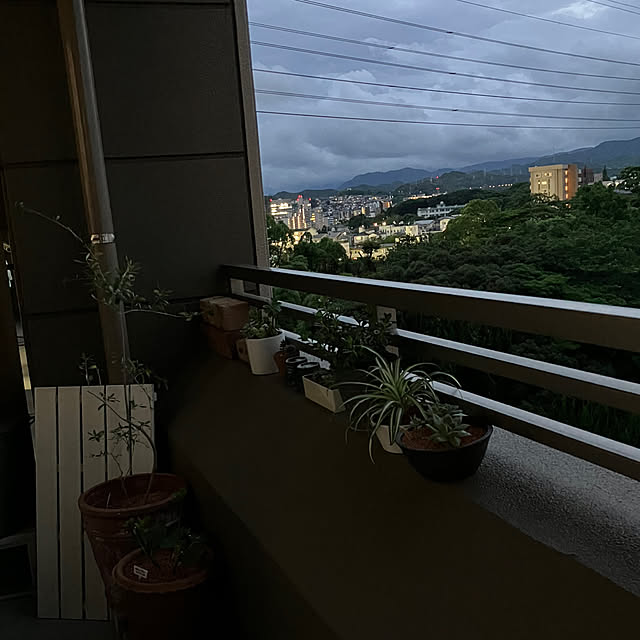 koshiregutyoさんの部屋