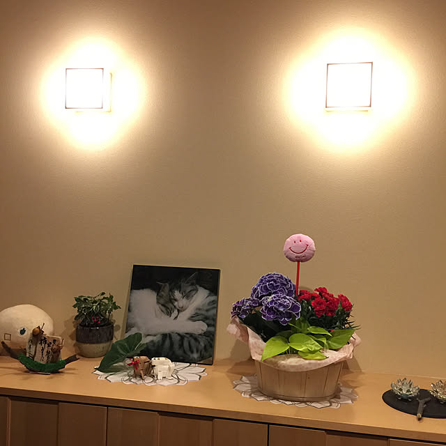 cherryさんの実例写真
