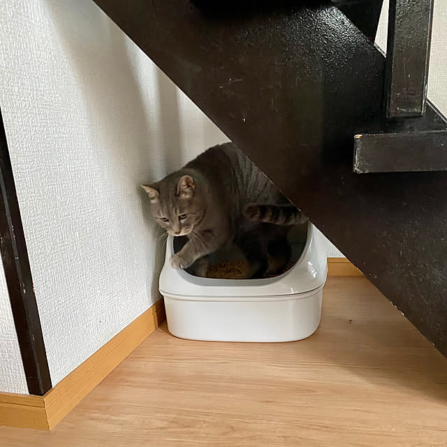 umi96さんの実例写真