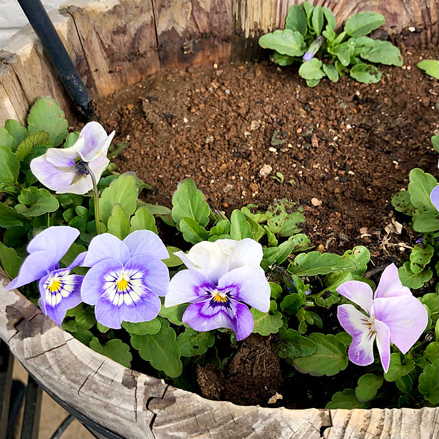 tomoさんの実例写真