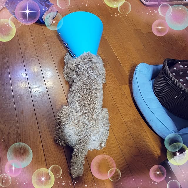 mimi828さんの部屋