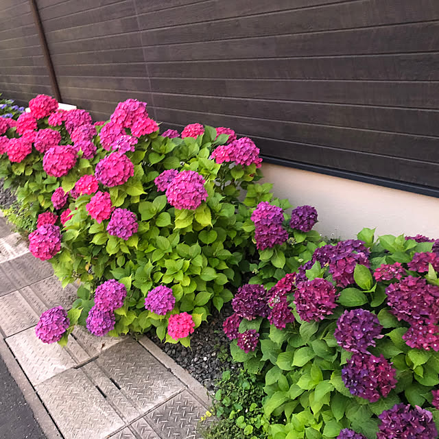 hanaさんの部屋