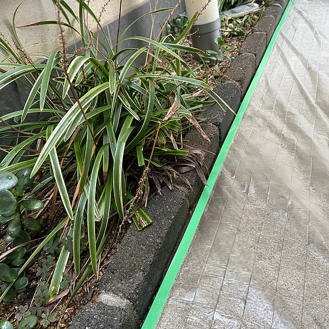 Momooさんの実例写真