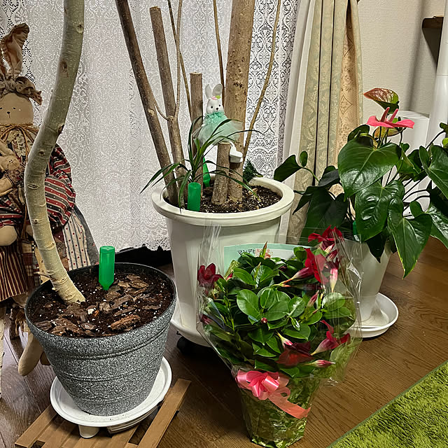 ritsukoさんの部屋
