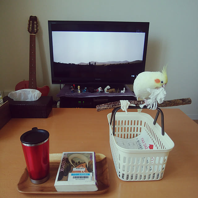 pontaさんの実例写真