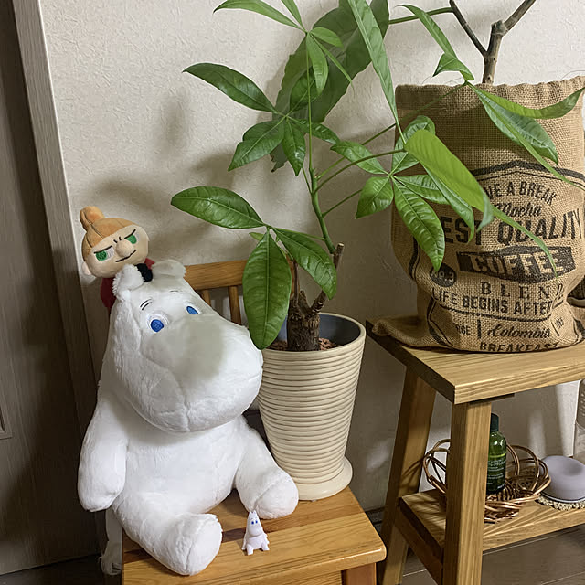 JUNさんの実例写真