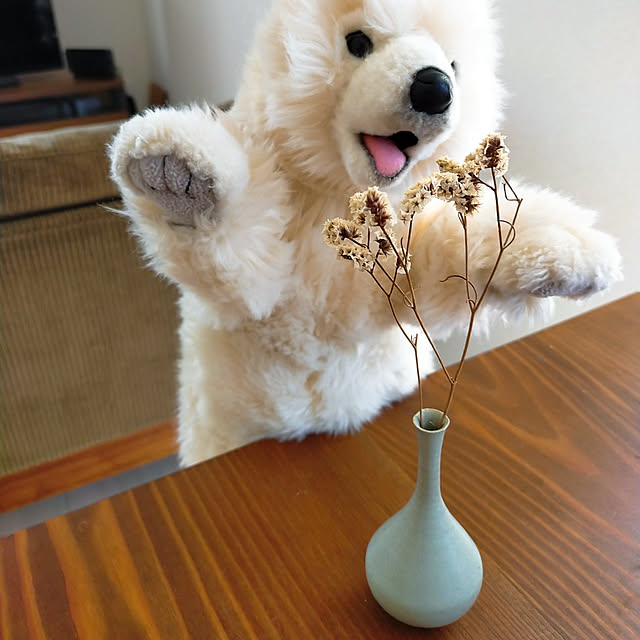 sinsinさんの実例写真