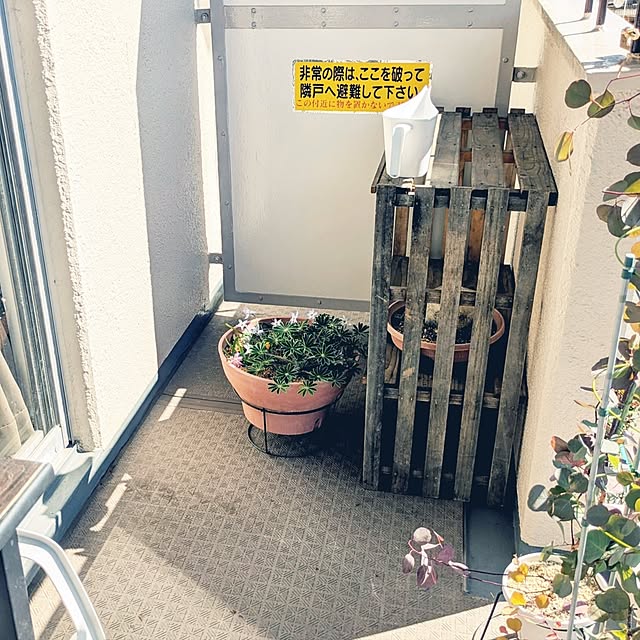 mi-saさんの部屋