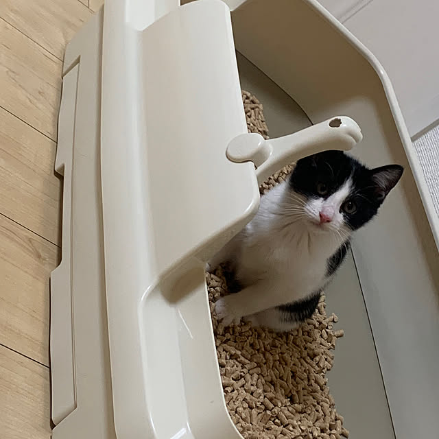 kkkさんの実例写真