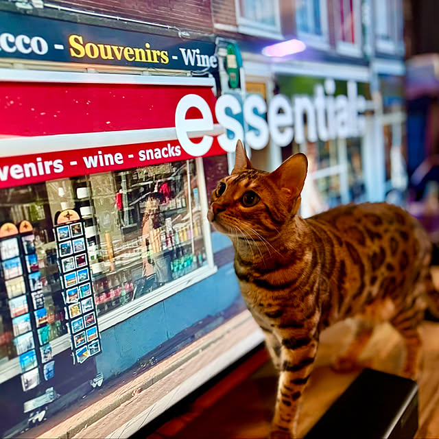 tututu0204さんの部屋