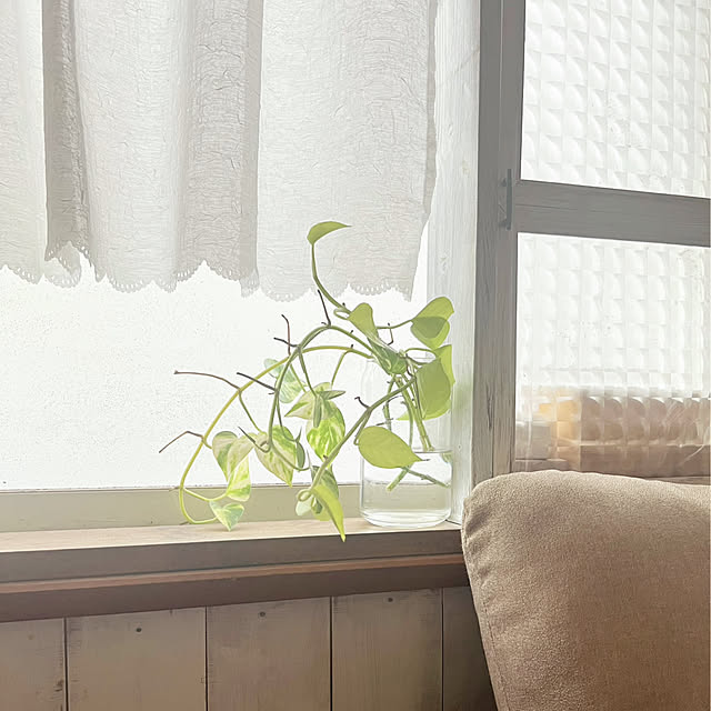 rookuさんの部屋