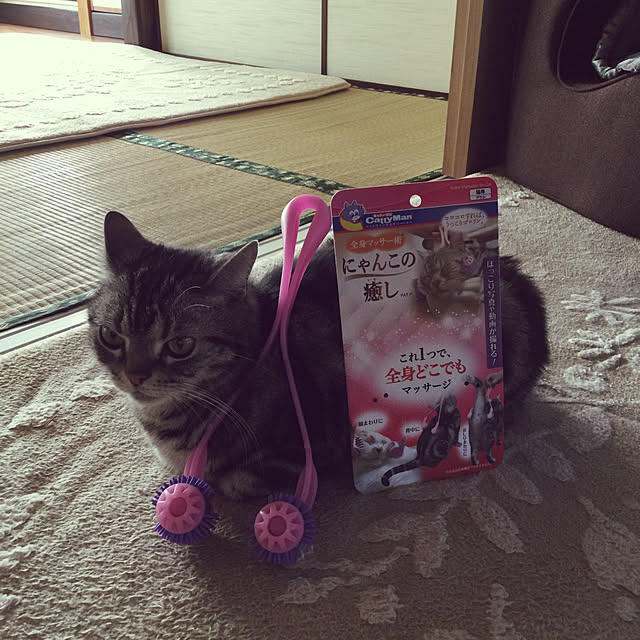 richanさんの実例写真