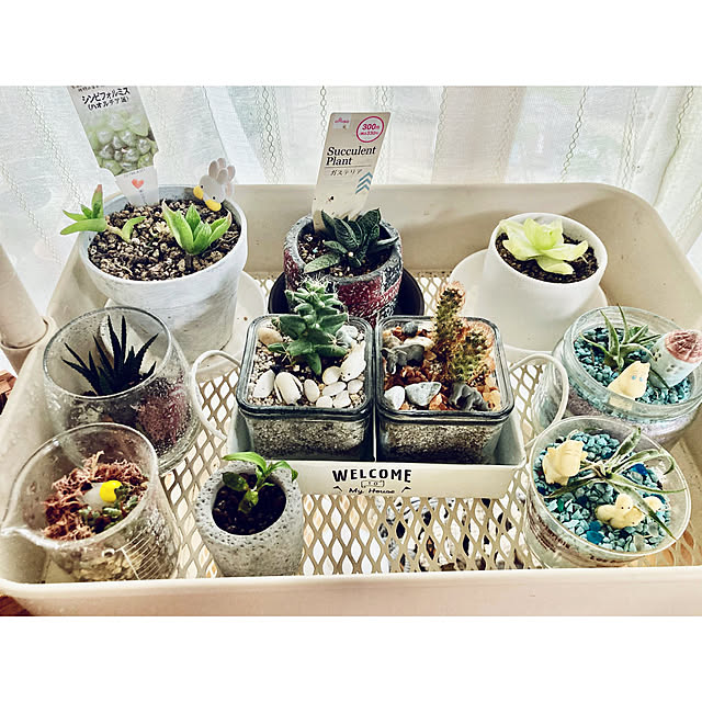 CoCo0617さんの部屋
